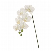 造花 コチョウラン(胡蝶蘭)