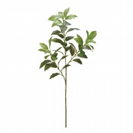 フェイクグリーン サカキ(榊)