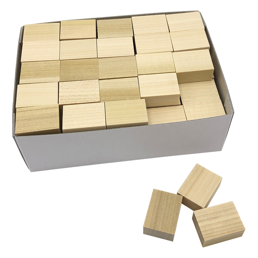 アズワン パラフィン用木製ブロック 100個入 中 1箱(ご注文単位1箱)【直送品】