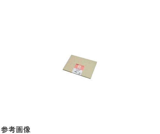 桜井 クリンホルダー2 605×857mm 100枚 CH2A1 1冊(ご注文単位1冊)【直送品】