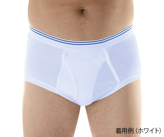 Wearever 失禁用パンツ (男性用少量タイプ) グレー LM100GRYLGEA 1枚 (ご注文単位1枚) 【直送品】