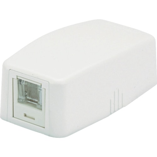 トラスコ中山 パンドウイット CAT6Aスプリングシャッター付きローゼットキット 1個口 白 JOQ1H6A00(ご注文単位1個)【直送品】