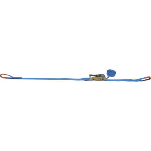 トラスコ中山 TESAC ラッシングベルト(ベルト荷締機)ラチェットバックル式アイタイプ 421-4056(ご注文単位1台)【直送品】