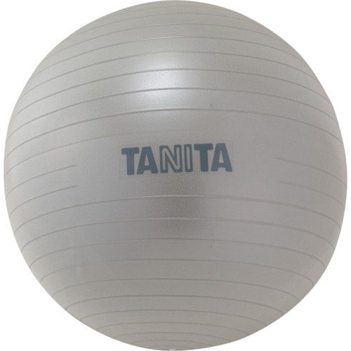 トラスコ中山 TANITA TANITA ジムボール TS-962-SV（ご注文単位1個）【直送品】
