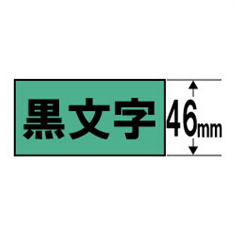 カシオ スタンダードテープ NAME LAND（ネームランド） 緑 XR-46GN ［黒文字 /46mm幅］ XR46GN 1個（ご注文単位1個）【直送品】