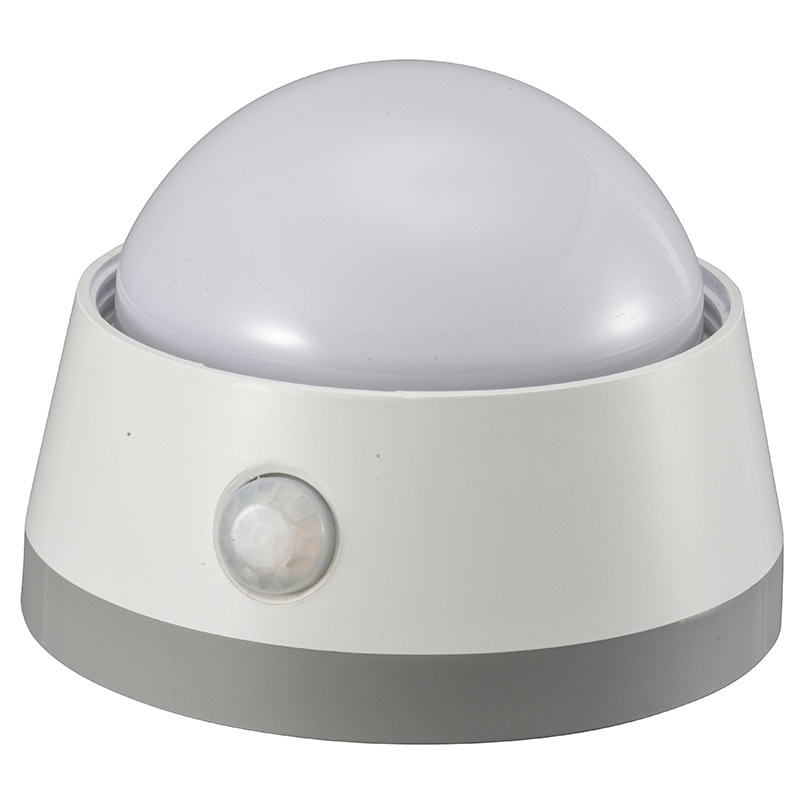 オーム電機 NIT-BLA6JD-WN 06-0129 LEDセンサーライト 明暗+人感センサー付 白色LED(ご注文単位1袋)【直送品】