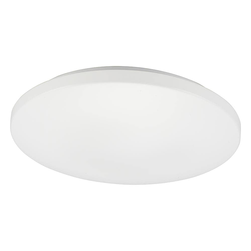 オーム電機 LE-Y45DBG-W5 06-5597 LEDシーリングライト 調光 12畳用 リモコン付 昼光色(ご注文単位1袋)【直送品】