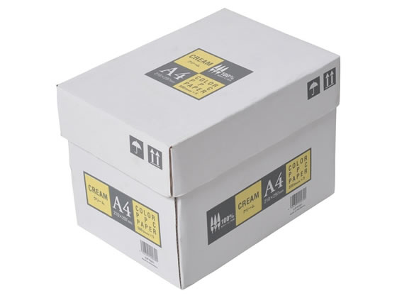 APPJ カラーコピー用紙 クリーム A4 500枚×5冊 CPY001 1箱(ご注文単位1箱)【直送品】
