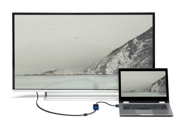 サンワサプライ HDMI-VGA変換アダプタ AD-HD24VGA 1個(ご注文単位1個)【直送品】