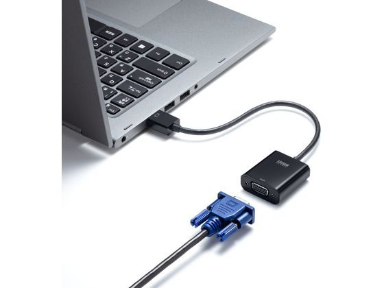 サンワサプライ HDMI-VGA変換アダプタ AD-HD24VGA 1個(ご注文単位1個)【直送品】