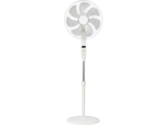 アピックス DCフロアー扇風機 AFL-286R 1台（ご注文単位1台）【直送品】