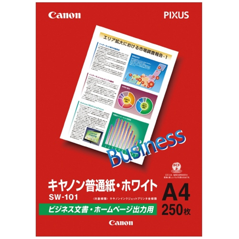 キヤノン 普通紙ホワイト SW-101A4 A4 250枚  1個（ご注文単位1個）【直送品】