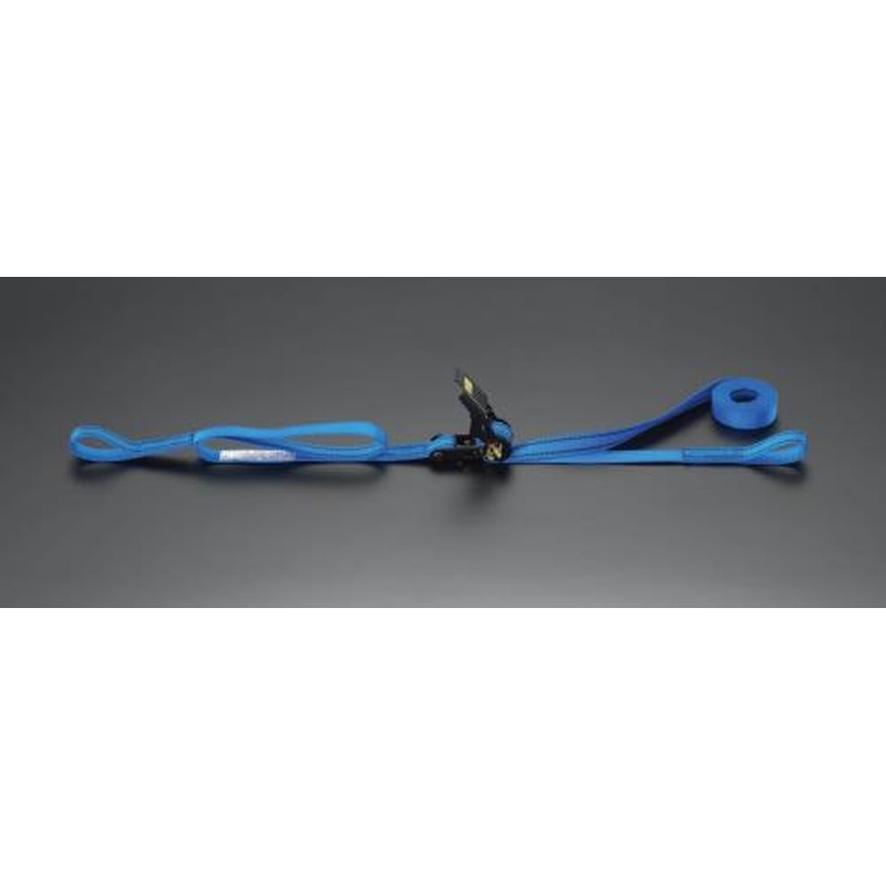 エスコ EA982RC-4 25mmx5.0m/200kgベルト荷締機(ラチェット式) 1個(ご注文単位1個)【直送品】