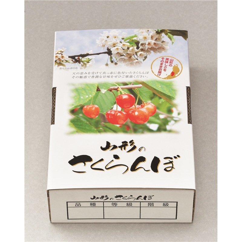 山形段ボール 山形のさくらんぼ 化粧箱 身／蓋 500g×2パック用 YD25 50箱/1セット（ご注文単位1セット）【直送品】
