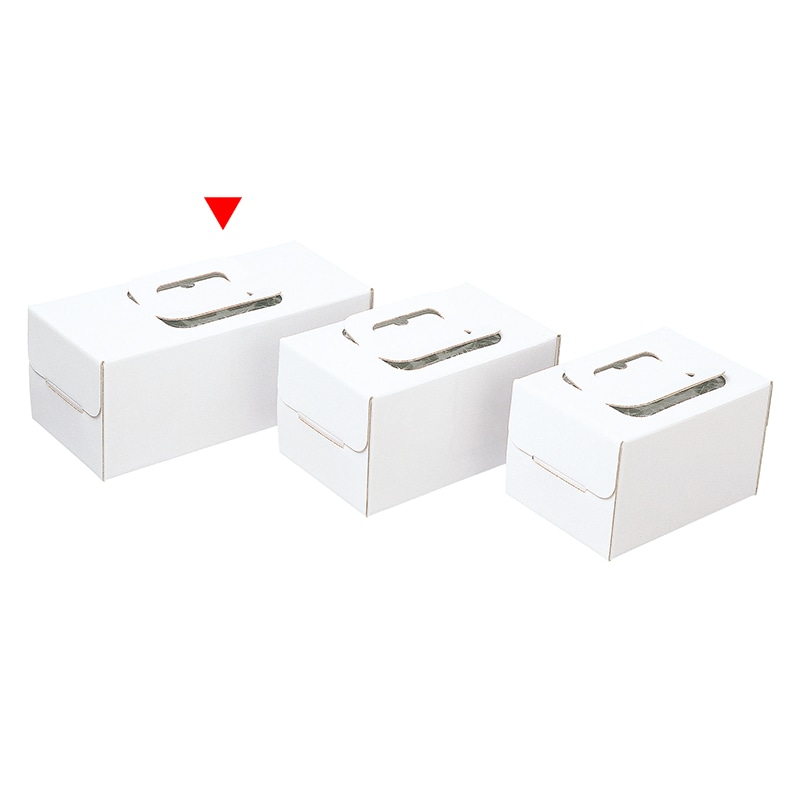 和気 ノエルケーキ箱 手提ノエルホワイト 大 2-600-25 100枚/箱(ご注文単位1箱)【直送品】