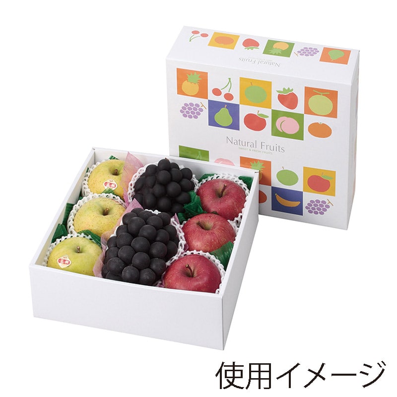 ギフト箱　ナチュラルフルーツ 290角 L-2253 10枚/束（ご注文単位5束）【直送品】