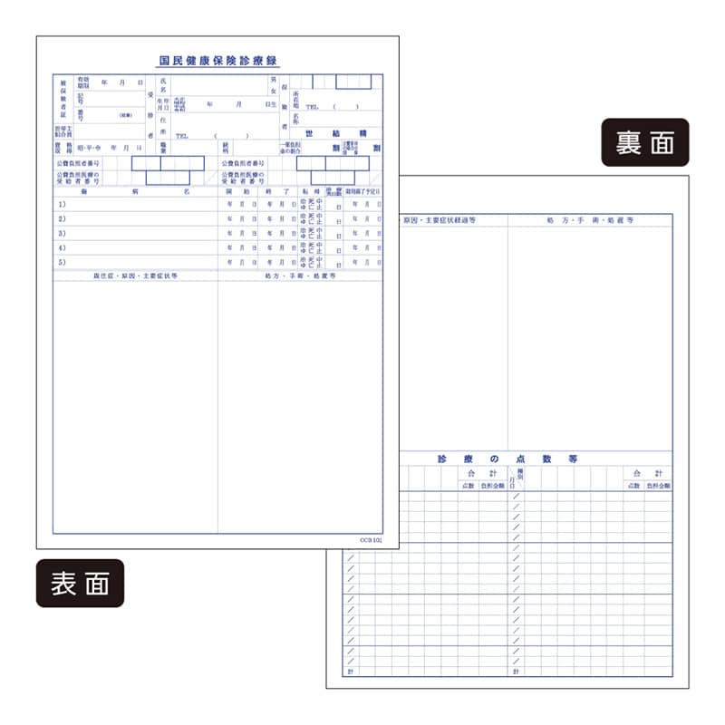 東杏印刷 診療録 B5 国保1号紙 21号 1冊入 CCB101 1箱（ご注文単位1箱）【直送品】