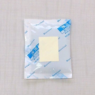 保冷剤 TCPレギュラー ナイロンポリフィルム 40g TCP 40 65個/パック(ご注文単位8パック)【直送品】