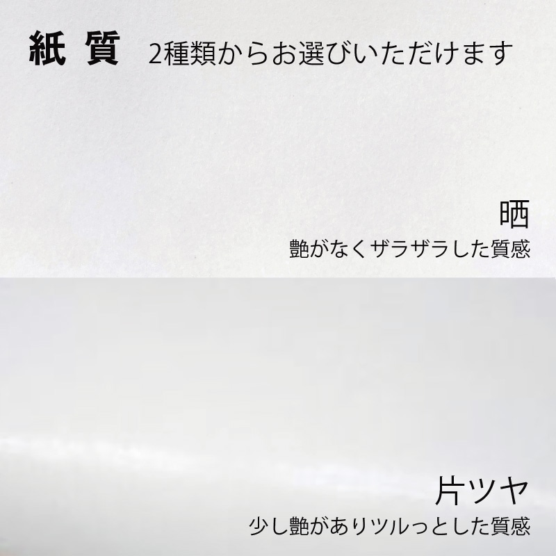 【オリジナル印刷】スムースB3才　片艶・晒120G ベタ印刷なし2色印刷　1000枚 オプション　ニス 1000枚