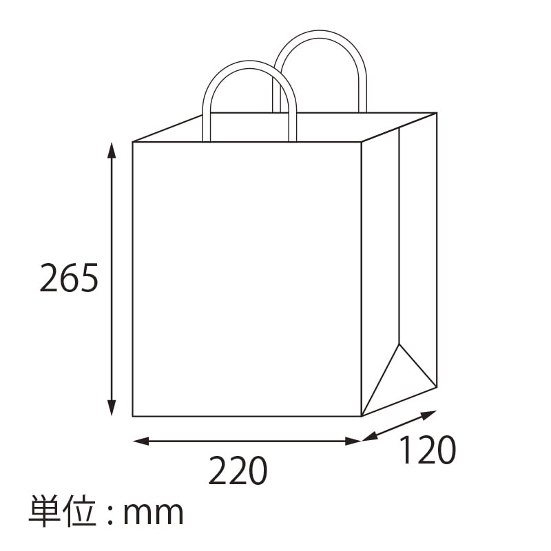 【オリジナル印刷】スムースB22－12　片艶・晒100G ベタ印刷あり2色印刷　3000枚 オプション　PP紐カラー替え 3000枚