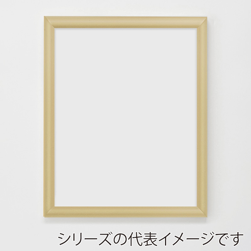 アルナ デッサン・書道額　YFM 大判　850×660mm ゴールドフレーム 1個（ご注文単位1個）【直送品】