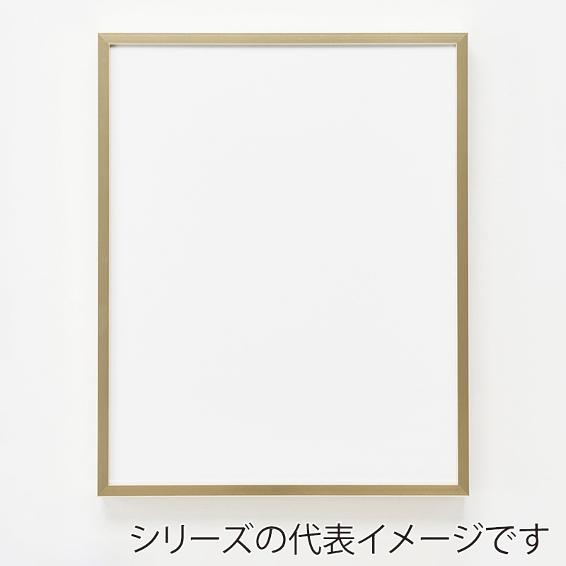 アルナ デッサン額　T25 B-1　1030×728mm ゴールドフレーム 1個（ご注文単位1個）【直送品】
