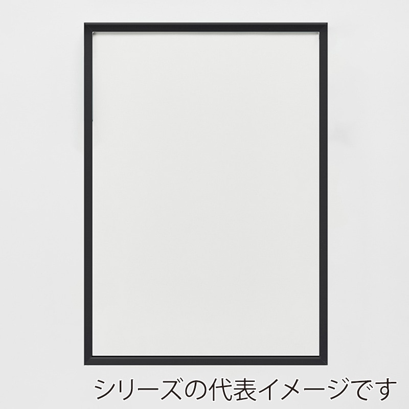 アルナ デッサン額　T25 八切　303×243mm ブラックフレーム 1個（ご注文単位1個）【直送品】