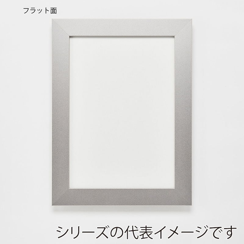 アルナ デッサン額　DUO ポスターA　602×502mm マットシルバーフレーム 1個（ご注文単位1個）【直送品】