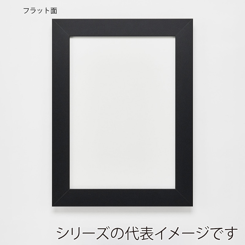 アルナ デッサン額　DUO 四切　424×349mm マットブラックフレーム 1個（ご注文単位1個）【直送品】