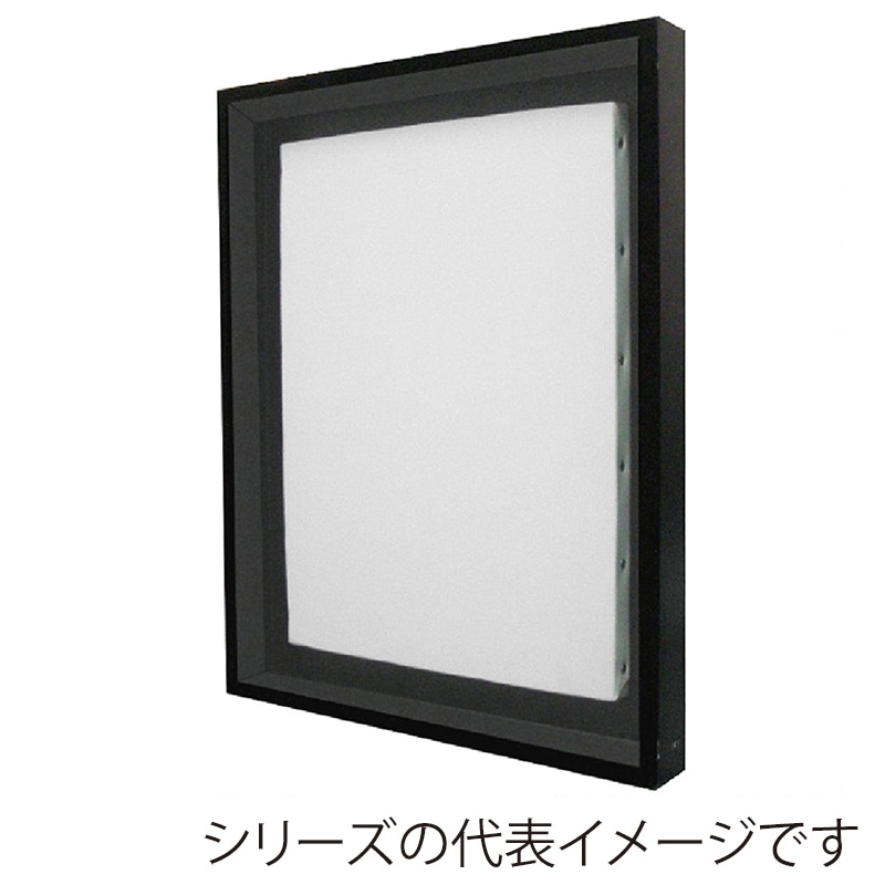 アルナ 仮縁　コア F-12　606×500mm ブラックフレーム 1個（ご注文単位1個）【直送品】