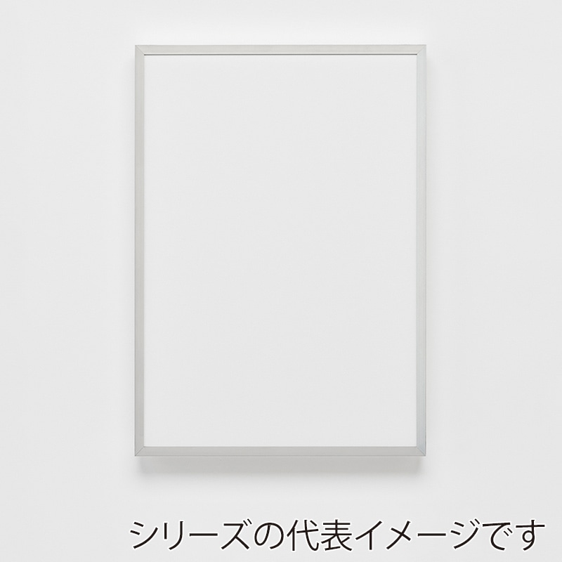 アルナ デッサン額・ポスターパネル　CUT 600×300 生材フレーム 1個（ご注文単位1個）【直送品】