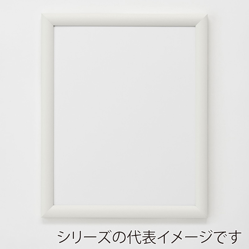 アルナ デッサン・書道額 YFM A-5 210×148mm ネオホワイトフレーム 1個(ご注文単位1個)【直送品】