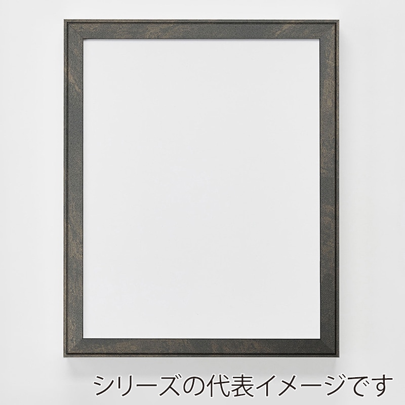 アルナ デッサン額　FW B-1　1030×728mm 宗達フレーム 1個（ご注文単位1個）【直送品】