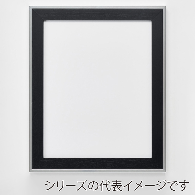 アルナ デッサン額・ポスターパネル モントレ A-0 1189×841mm ビターフレーム 1個(ご注文単位1個)【直送品】