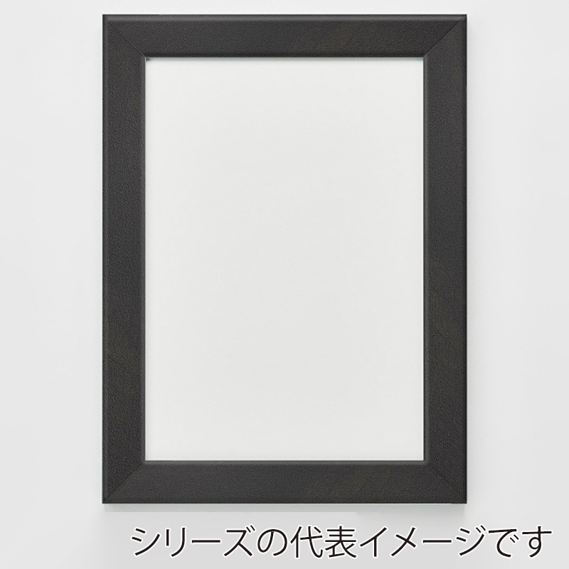 アルナ デッサン額　CF 450角 宗達フレーム 1個（ご注文単位1個）【直送品】