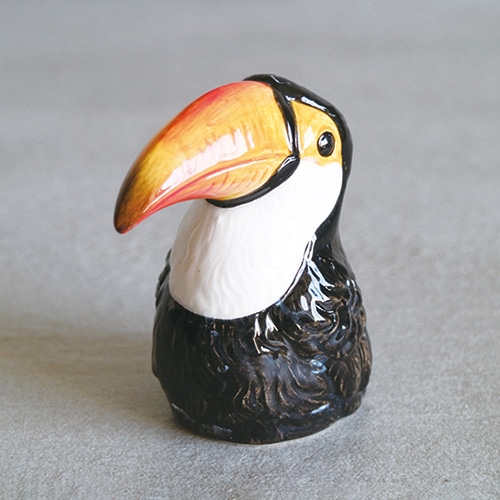 TOUCAN