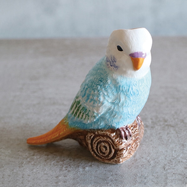 PARAKEET