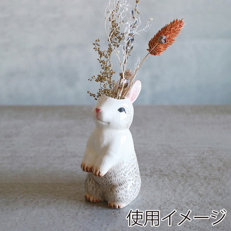 RABBIT