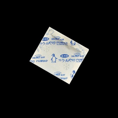 尚美堂 保冷剤 フジクールパック CP-20F 不織布タイプ 986800 800個/箱(ご注文単位1箱)【直送品】
