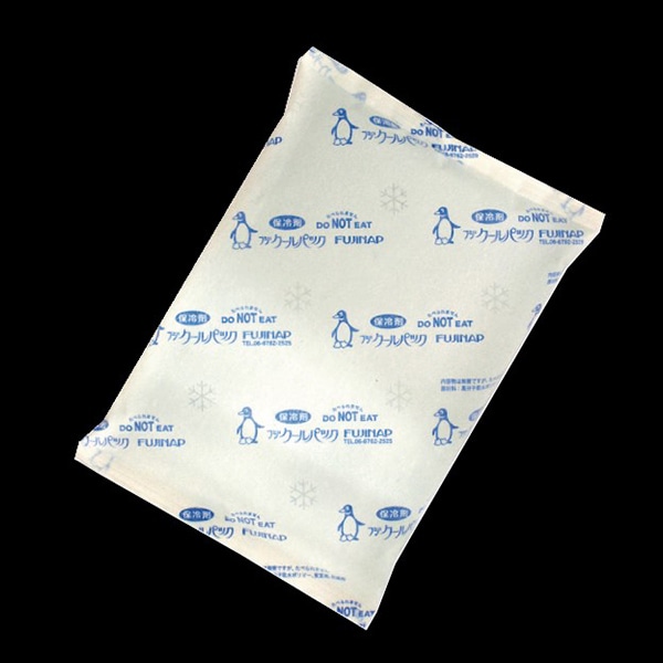 尚美堂 保冷剤 フジクールパック CP-400F 不織布タイプ 986807 40個/箱(ご注文単位1箱)【直送品】