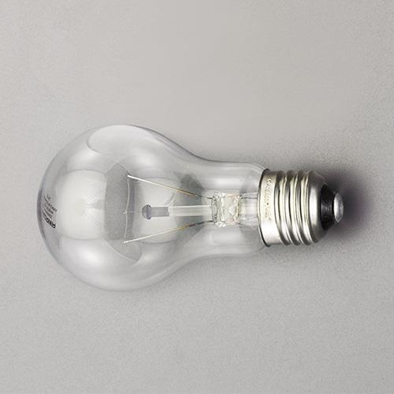 エスコ EA758XK-102 100V/100W/E26白熱電球(クリア) 1個(ご注文単位1個)【直送品】