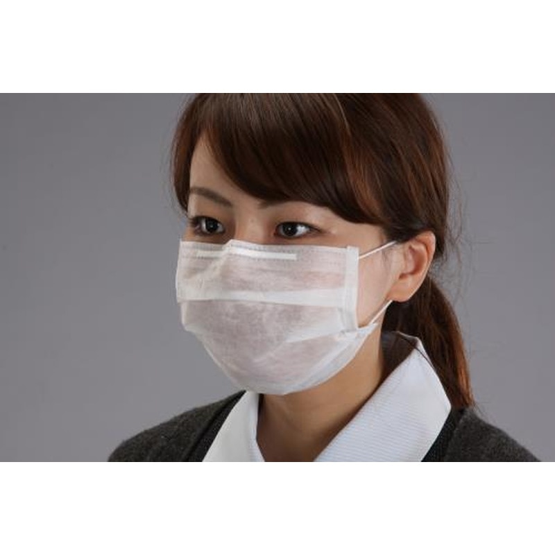 エスコ EA800MF-41 マスク(使い捨て/100枚) 1個（ご注文単位1個）【直送品】