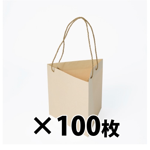 星野 手提げ紙袋 キャリーバッグ K-TM 02 ベージュ 314084 100枚/束（ご注文単位1束）【直送品】