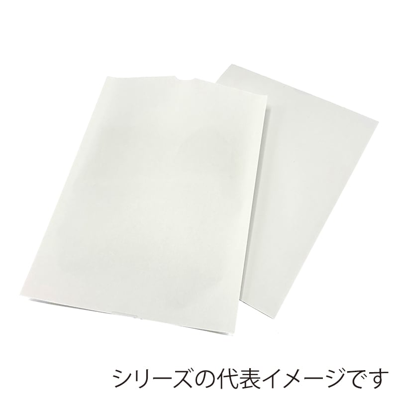 東杏印刷 プリンター用薬袋 無地 A6 2000枚入 AAZ60R 1箱（ご注文単位1箱）【直送品】