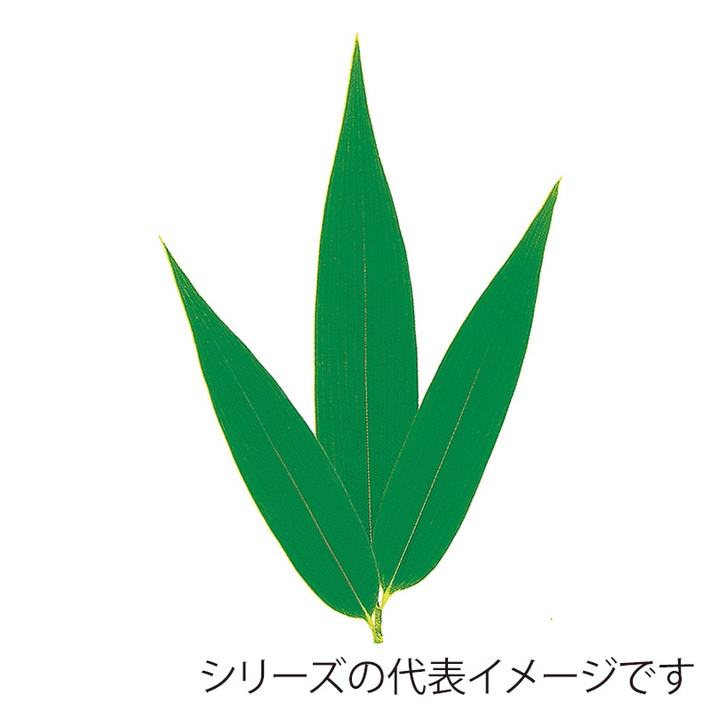 三枚笹 S　丸小