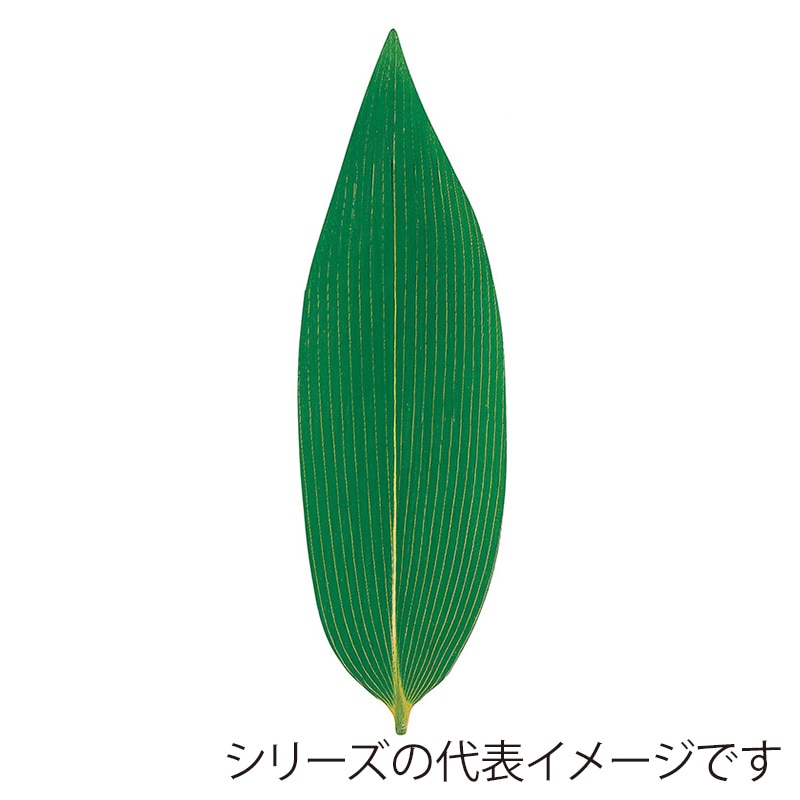 熊笹 L　丸大