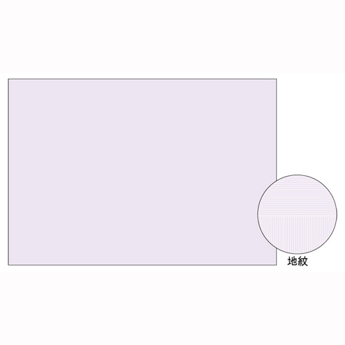 BP2111 A3 コピー判別用紙 1パック (ご注文単位1パック)【直送品】