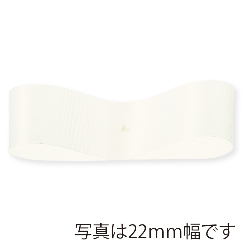 東京リボン リボン　サテンEX 22×92 #56　オフホワイト 1巻（ご注文単位1巻）【直送品】