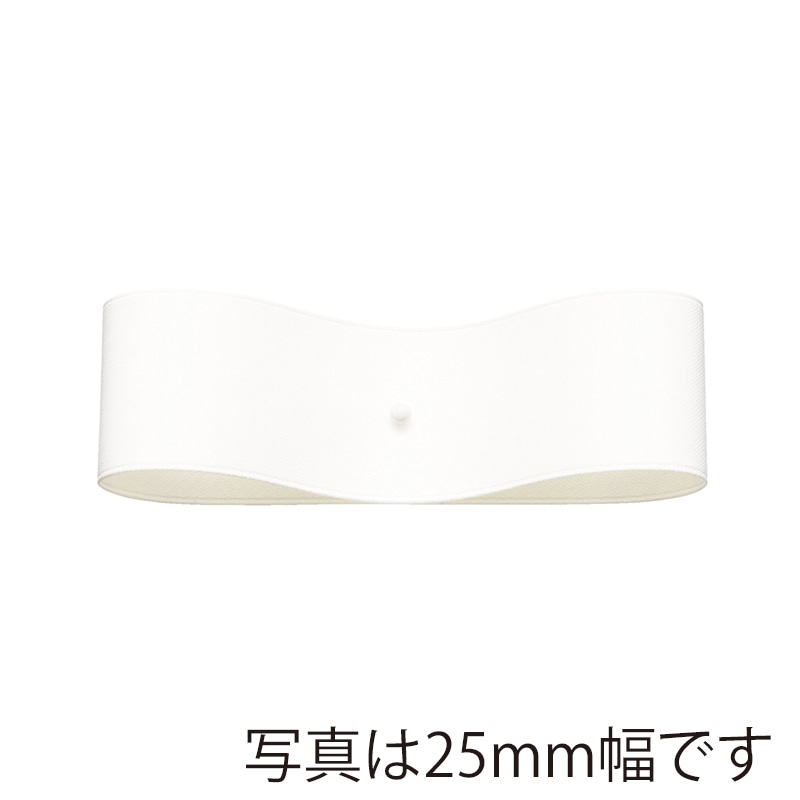 東京リボン リボン サテンプルミエ 50033 40×50 #1 ホワイト 1巻(ご注文単位1巻)【直送品】
