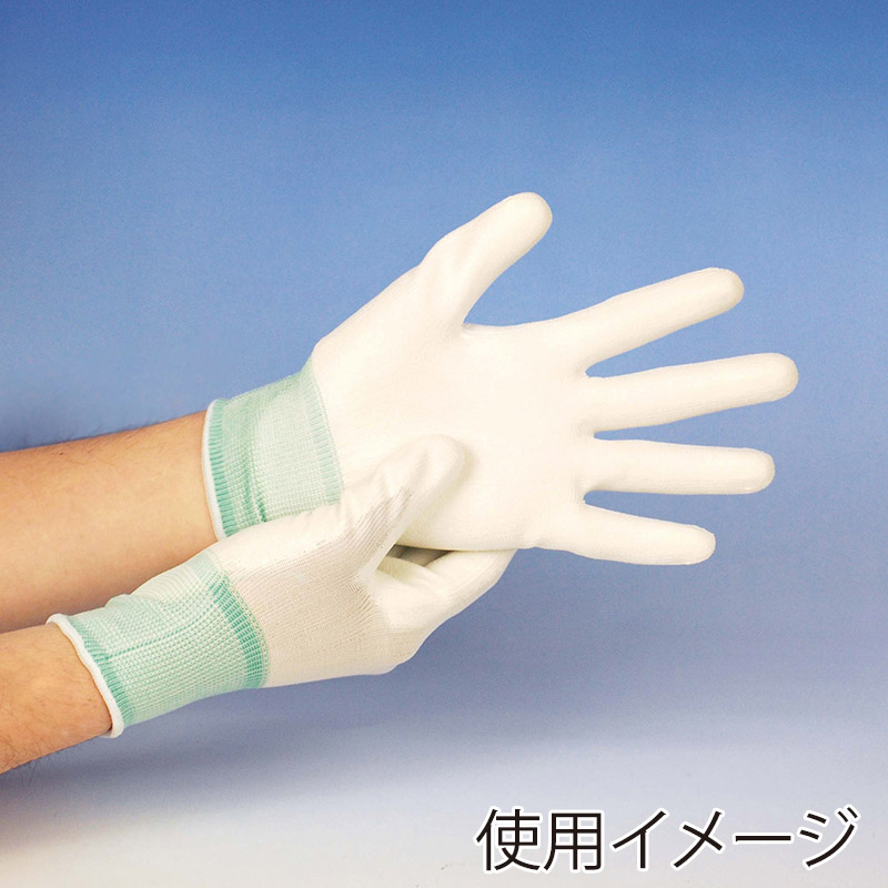使い捨て手袋